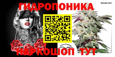 ПСИЛОЦИБИНОВЫЕ ГРИБЫ Лесосибирск